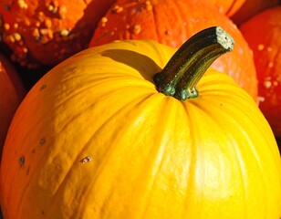 Close Up of a Vibrant Yellow Pumpkin.