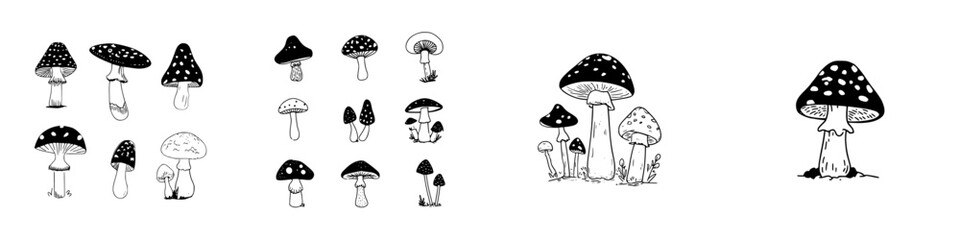 Hand drawn black and white mushroom icons and clusters in line art style