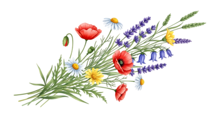 Watercolor wildflower bouquet isolated on transparent background