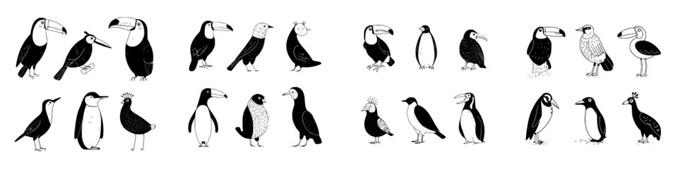 Stylized black and white icons of tropical and Antarctic birds