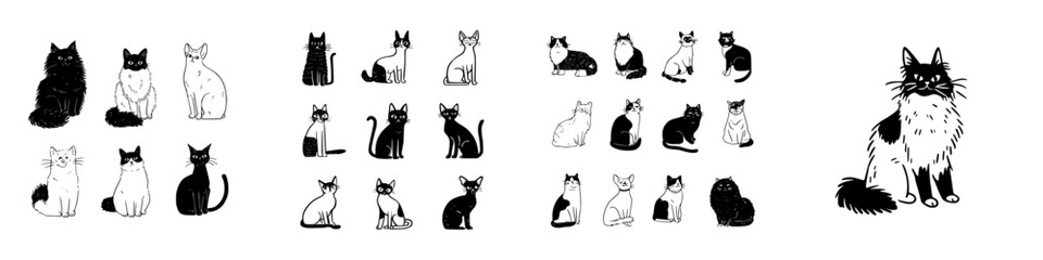 Various domestic cats in black and white sketch style drawings