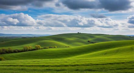 Fototapeta premium Rolling Green Hills and Cloudy Skies: A scenic vista of undulating green hills under a vibrant blue sky dotted with fluffy white clouds, offering a sense of tranquility and vastness.