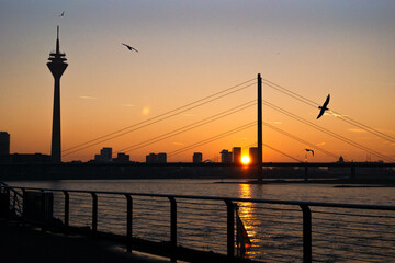 Fototapeta premium Rheinbrücke Düsseldorf mit dem Rheinturm