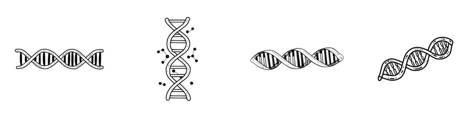 Set of four hand drawn deoxyribonucleic acid helix icons in black and white style