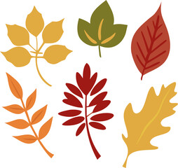 Obraz premium Autumn Foliage Silhouette Collection