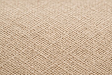 Fototapeta premium Neutral Linen Texture