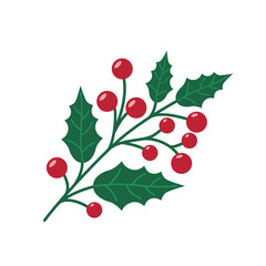 Holly branch with green spiky leaves and bright red berries isolated on a white background. Vector illustration