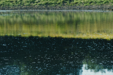 Serenity by calm and still pond water in Texas natural environment, nature background.