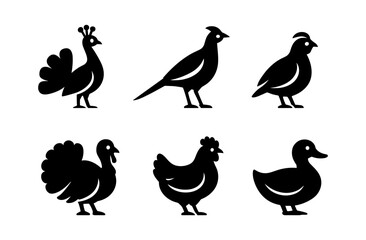 Fototapeta premium Animal silhouettes: peacock, pheasant, quail, turkey, chicken, duck icons