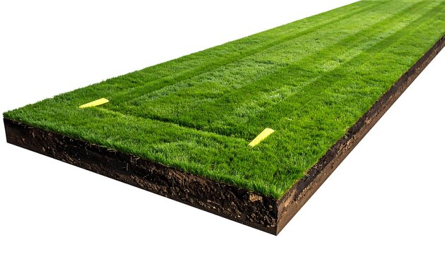 Green Grassy Bowling Alley, Perfect for Recreation. - Powered by Adobe