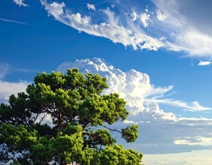 Obraz premium Beautiful Sunny Day with Lush Pine Tree.