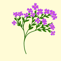 Naklejka premium Delicate purple wildflowers blooming on a slender green branch create a whimsical, cheerful botanical design perfect for spring and summer projects