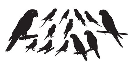 Exotic Parrot and Pet Bird Silhouettes: Tropical Wildlife, Aviary, and Perching Vector Icons
