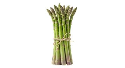 A bunch of fresh green asparagus spears tied with twine, isolated on transparent background