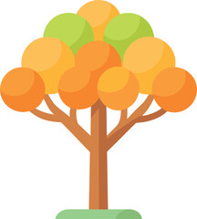 Orange tree
