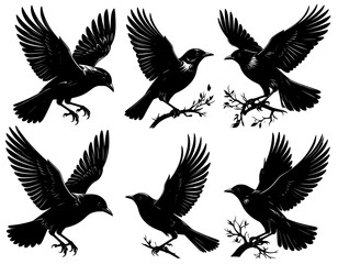 Obraz premium Illustration set of birds silhouette 