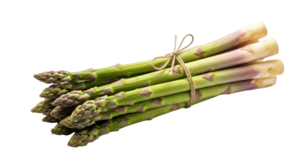 A bundle of fresh asparagus tied with string isolated on white background cutout transparent png