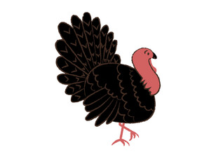 Turkey bird icon on transparent background.