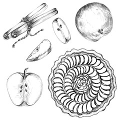 A bundle of ink drawings of apples and slices, cinnamon sticks, apple pie. Bakery monochrome clipart. Black and white line art. Hand-drawn illustration for baking-themed design, food packaging