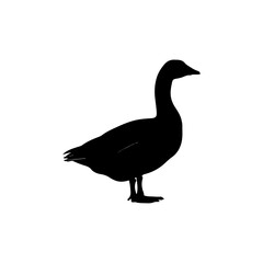 A simple black silhouette of a goose standing on a white background.