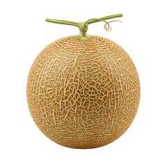 Melon isolated on white background