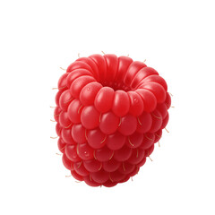 Raspberry on white background
