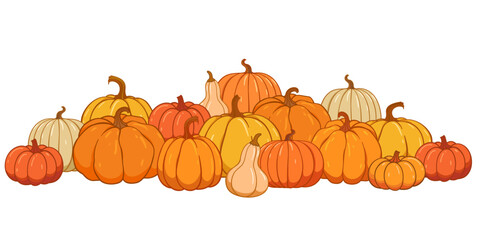 Pumpkin patch vector set. Bunch of autumn pumpkins. Hand drawn pumpkin squash frame, border in different colors and shapes.