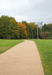 Curved path in urban park in autumn with trees and lampposts