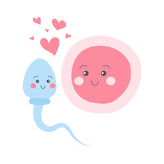 Cartoon characters sperm and egg cell in love. Vector illustration for education, science, reproduction, biology, fertilization concept.