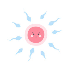 Cute cartoon sperm and egg cell characters. Vector illustration for education, science, reproduction, biology, fertilization concept.