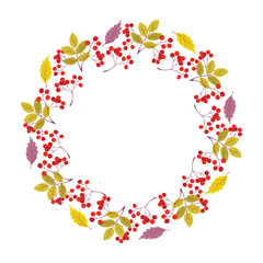 Beautiful wreath of rowan berries and falling leaves. Decorative circle Autumn plants frame. Round border for harvest festival design. Hand drawn flat style vector illustration.