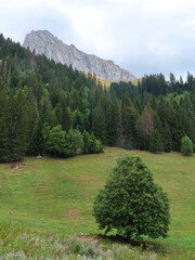 La Chapelle d'Abondance - Les Cornettes de Bise
