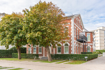 Brick house with trees. A red brick house with white details stands behind large green chestnut trees. The scene feels calm and residential on a sunny day.