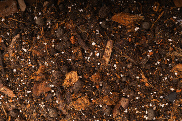 Rich organic potting mix ideal for sustainable gardening and plant growth