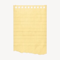 Fototapeta premium Blank torn lined paper sheet