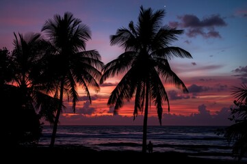 Obraz premium Silhouette of Palm Trees and People Enjoying Breathtaking Ocean Sunset View at Dusk