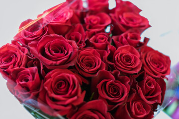 A vibrant bouquet of fresh, deep red roses is tightly arranged and wrapped in clear plastic, highlighting their rich color and delicate petals.