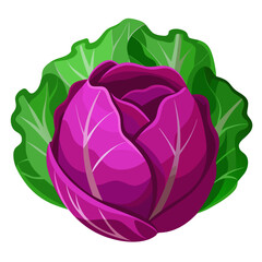 Obraz premium Vibrant red cabbage with fresh green leaves, a healthy and delicious addition to any recipe, perfect for cooking, salads, and nutrition-focused designs, originally a scalable graphic