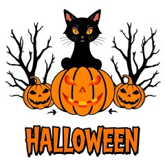 halloween cat with pumpkin