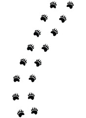Bear trail illustration, isolated predator paw prints, animal tracks on transparent background