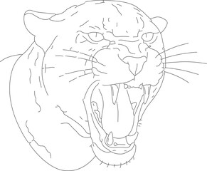 byuh (79)_vector.eps