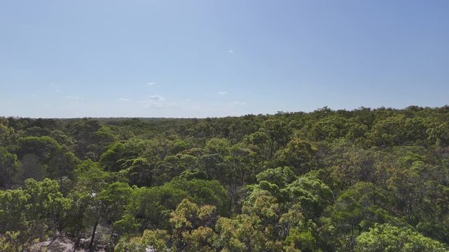 aerial drone shot of a beautiful rainforest landscape along the old telegraph track at the iconic Bertie Creek river crossing in tropical north Queensland of Cape York, Australia.