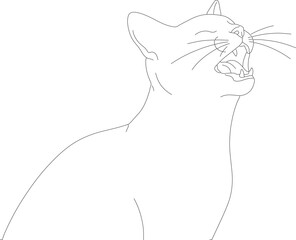 byuh (3)_vector.eps