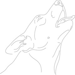 byuh (57)_vector.eps
