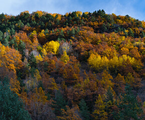 Fototapeta premium Autumn landscape in the Gistau Valley, a Pyrenean valley in the Aragonese region of Sobrarbe, on the upper reaches of the Cinqueta River. Huesca, Aragon, Spain, Europe