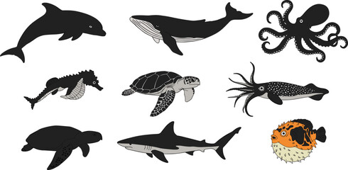 Colorful marine animal vector illustration set featuring dolphin, whale, octopus, shark, turtle, seahorse, squid, and pufferfish on white background for ocean design © Hasem Creative