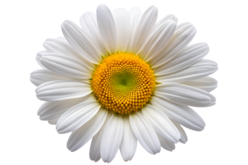 A cute and friendly cartoon ghost with a surprised expression isolated on transparent background