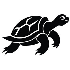 Black turtle silhouette white reptile
