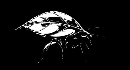 Artistic Black and White Illustration of a Leaf-Winged Insect Silhouette.