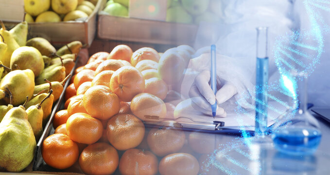 Food quality analysis. Laboratory worker writing results of examination, double exposure with fresh fruits on display